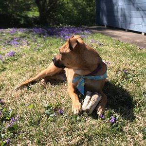 Meet your Posher, Deanna